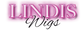Translation missing: it.lindis accessibility.home